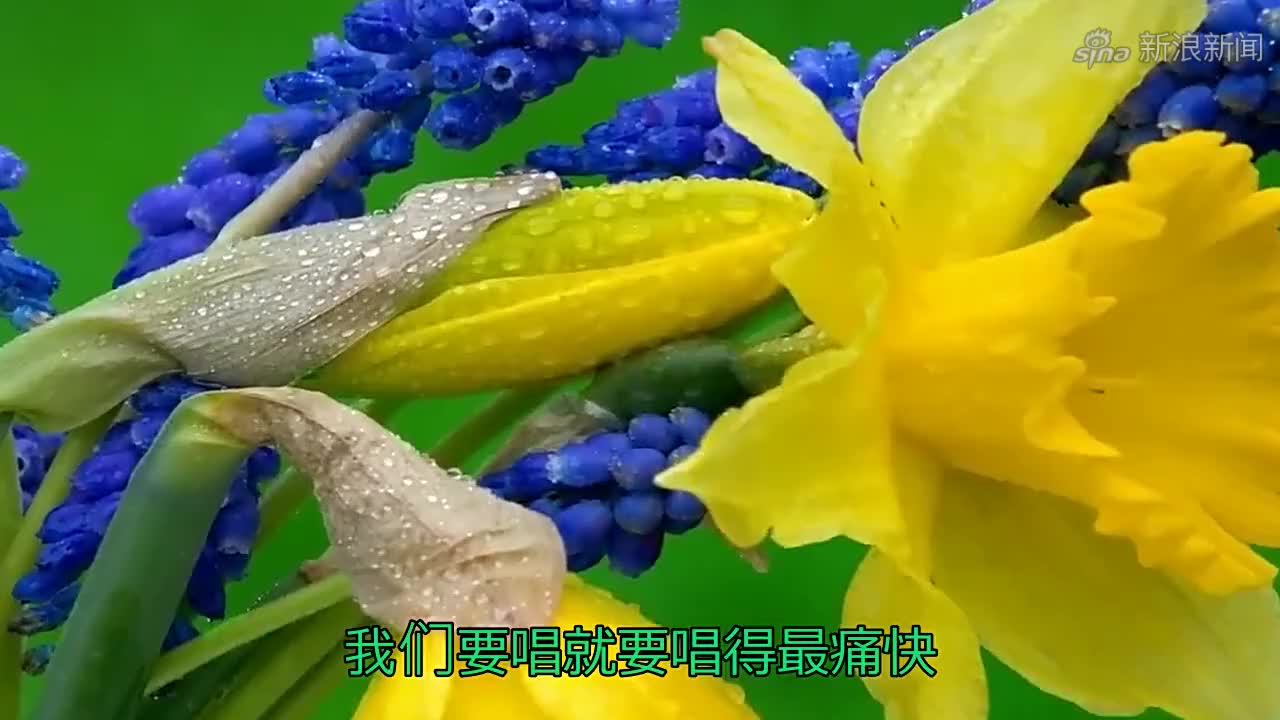 最炫小苹果dj版慢速版(最炫小苹果dj版慢速版下载)-第6张图片-有道翻译官网 最炫小苹果dj版慢速版(最炫小苹果dj版慢速版下载)-第6张图片-有道翻译官网