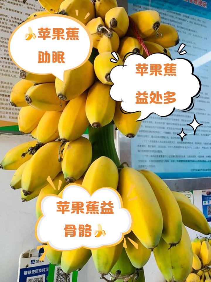 苹果香蕉节奏版(苹果香蕉那首歌叫什么)-第3张图片-有道翻译官网 苹果香蕉节奏版(苹果香蕉那首歌叫什么)-第3张图片-有道翻译官网